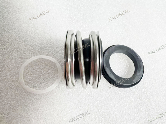 Burgmann EMG Series Mechanical Seal Replacement