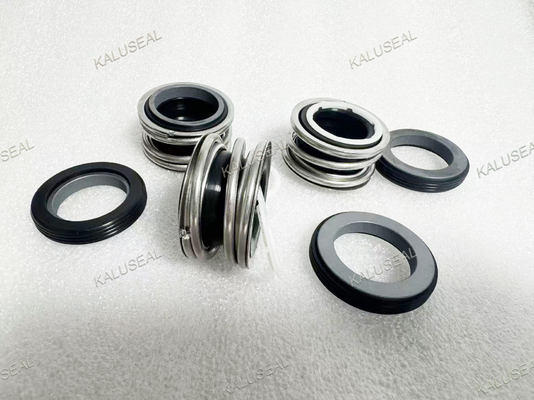 Burgmann EMG Series Mechanical Seal Replacement